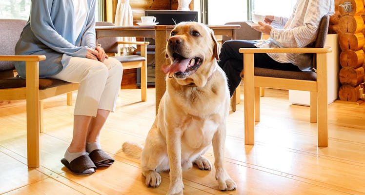 軽井沢駅の温泉ありの 安く泊まれるホテル 旅館 8選 お得に宿泊予約 Yahoo トラベル 軽井沢駅の温泉ありの 安く泊まれるホテル 旅館 8選 お得に宿泊予約 Yahoo トラベル