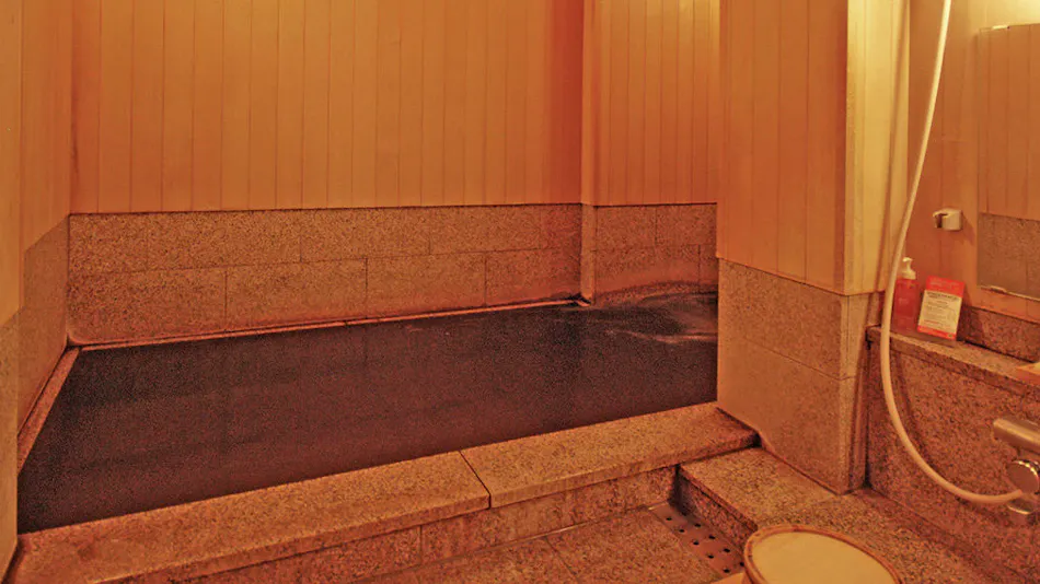 Kaiseki Inn Ogiya