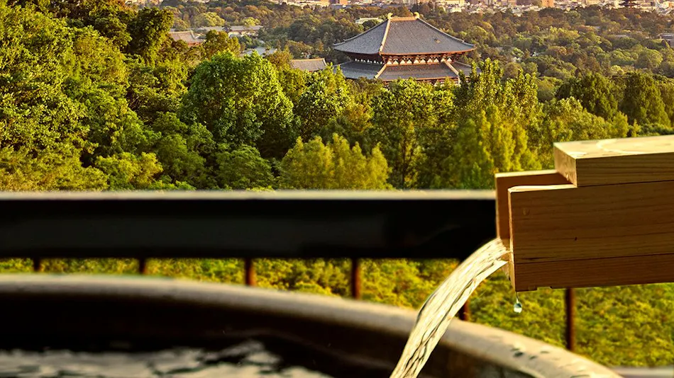 ANDO HOTEL Nara Wakakusayama ~DLIGHT LIFE & HOTELS~