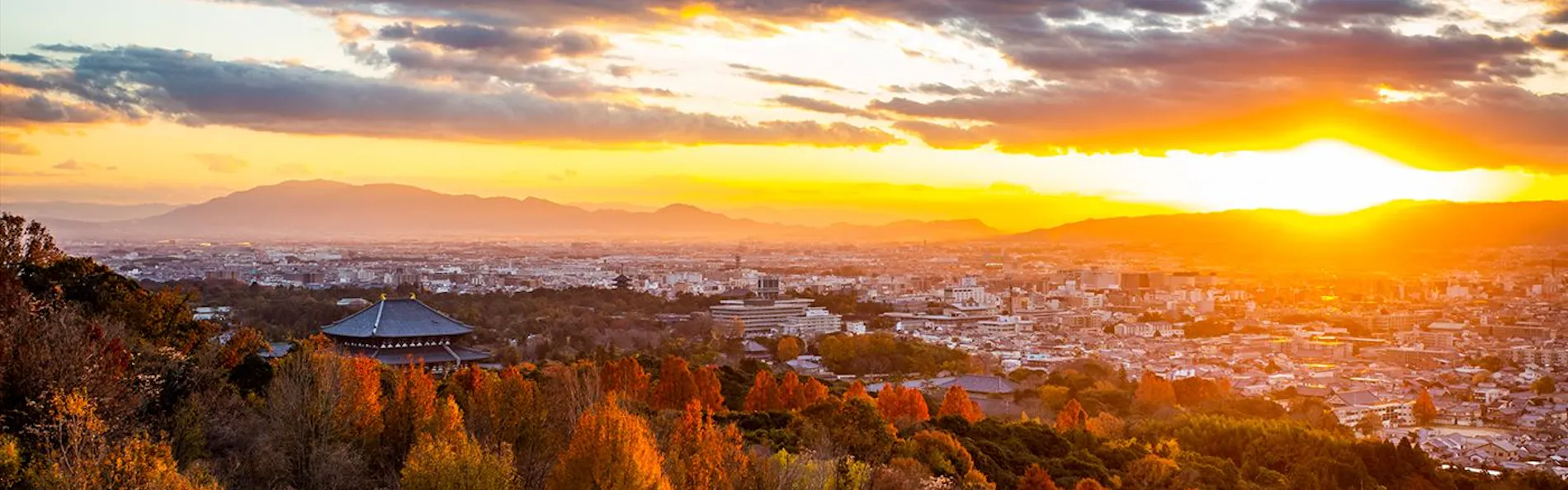 ANDO HOTEL 奈良若草山~DLIGHT LIFE & HOTELS~