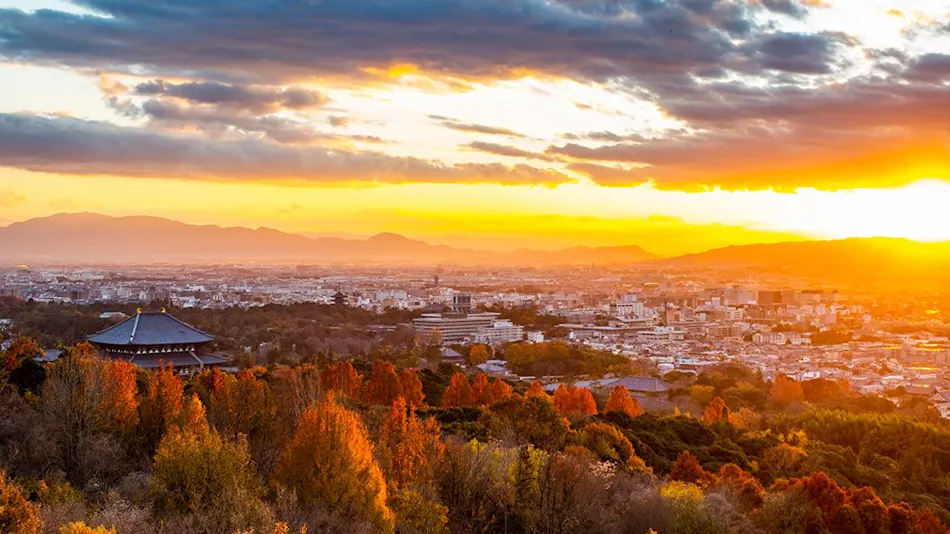 ANDO HOTEL Nara Wakakusayama ~DLIGHT LIFE & HOTELS~