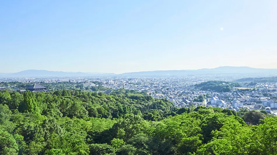 ANDO HOTEL Nara Wakakusayama ~DLIGHT LIFE & HOTELS~