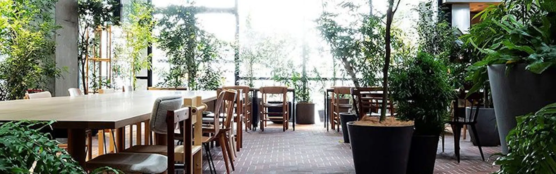 SHIROIYA HOTEL