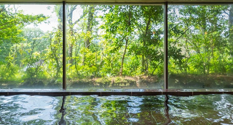 伊東の大浴場ありの おすすめホテル 旅館 選 お得に宿泊予約 Yahoo トラベル 伊東の大浴場ありの おすすめホテル 旅館 選 お得に宿泊予約 Yahoo トラベル