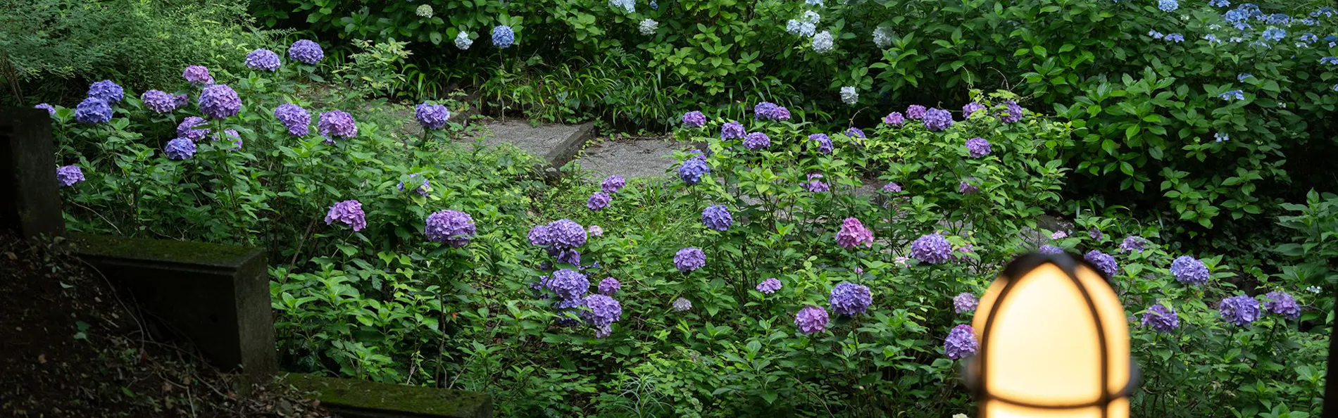 伊豆高原温泉ホテル 森の泉