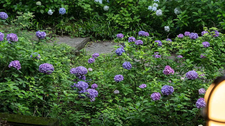 Izu Kogen Onsen Hotel Mori no Izumi