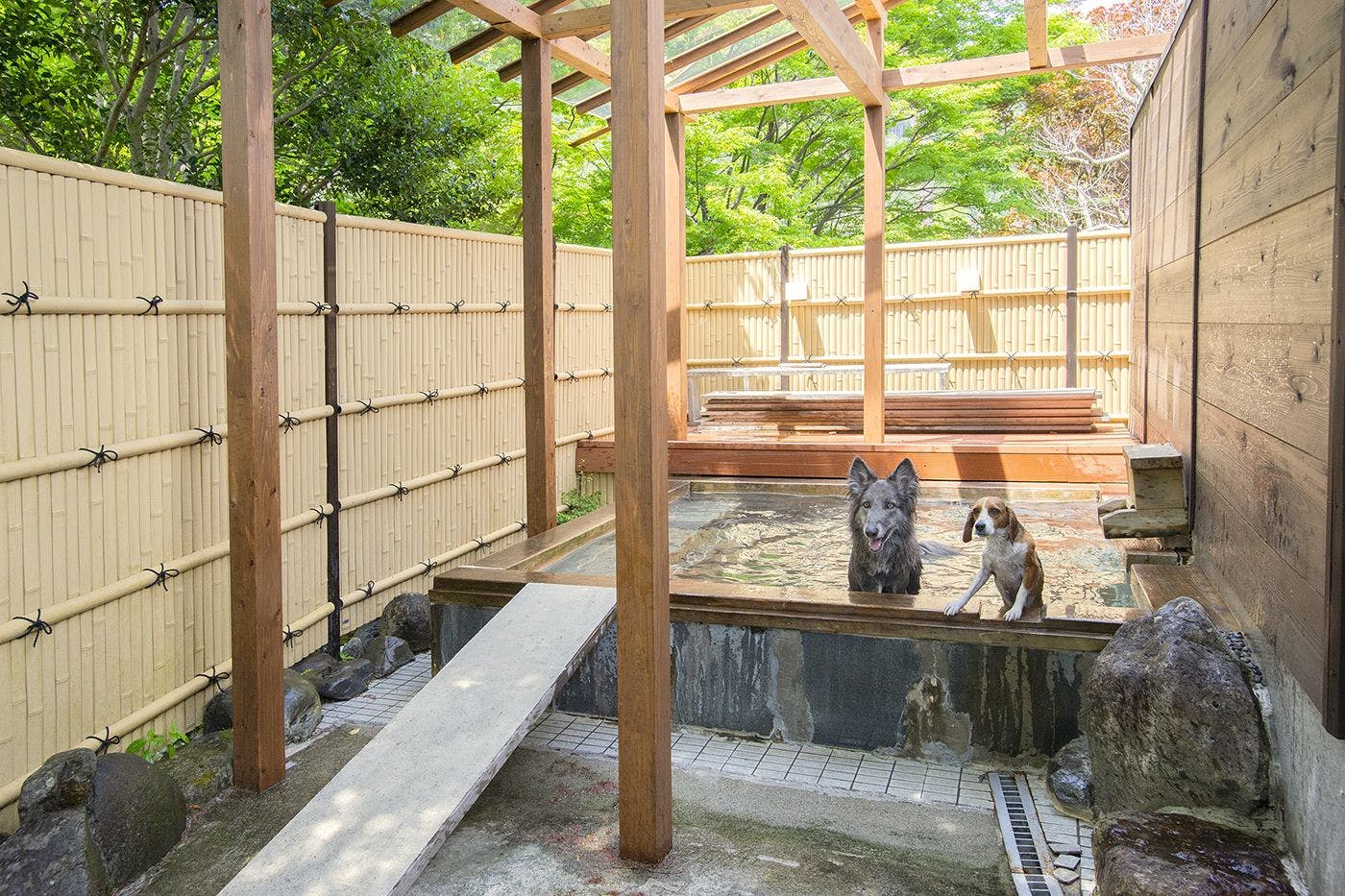 わんこ専用温水遊び場