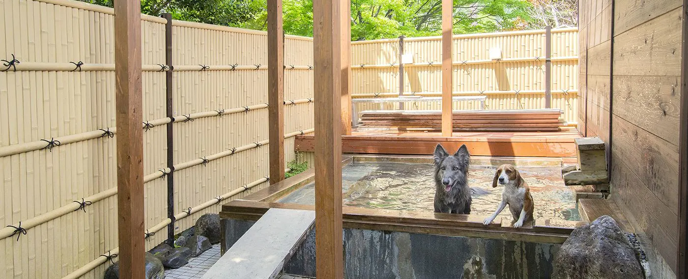 わんこ専用温水遊び場