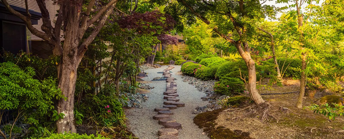 สวนญี่ปุ่น