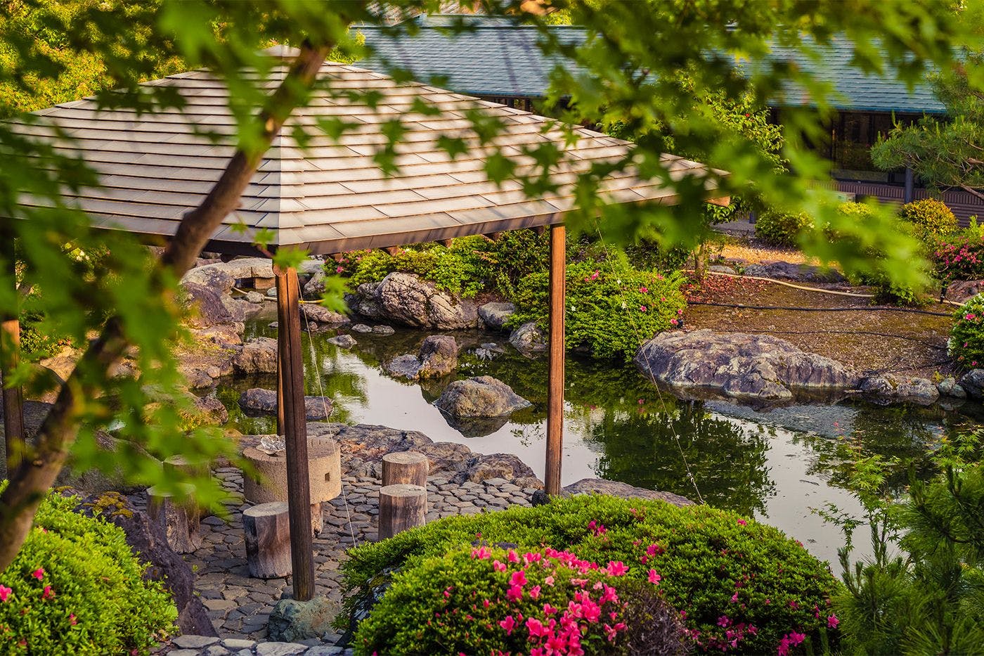 สวนญี่ปุ่น