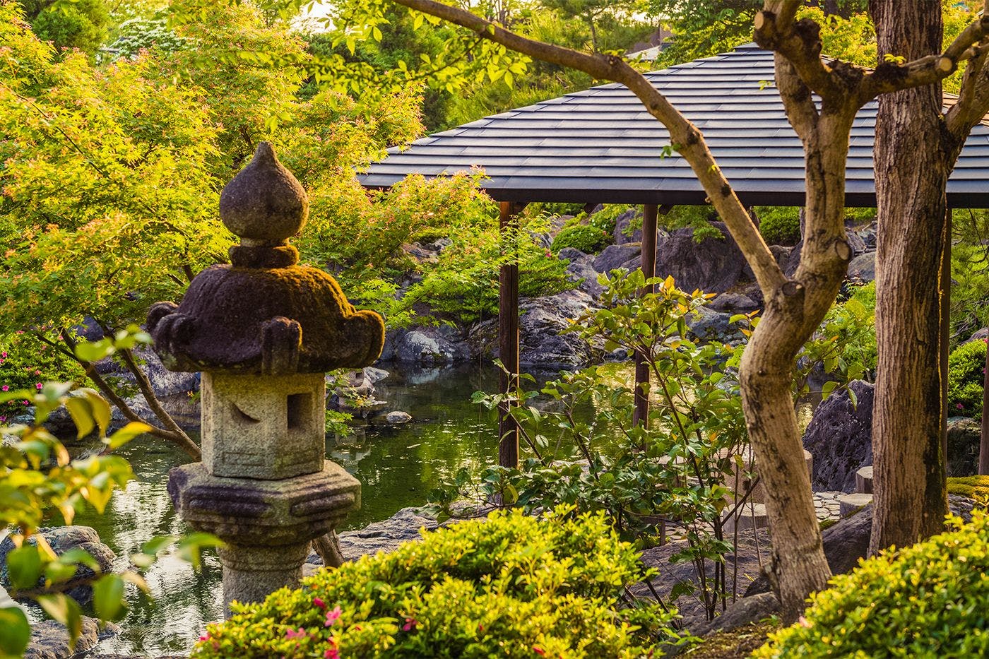 สวนญี่ปุ่น