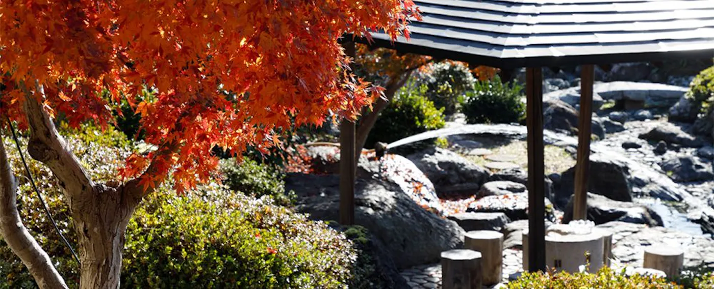 สวนญี่ปุ่น