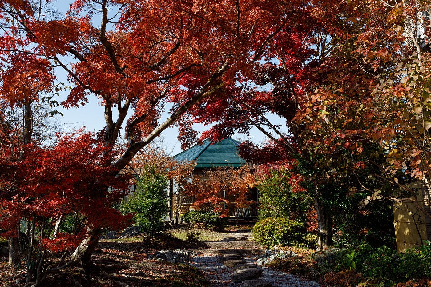 สวนญี่ปุ่น