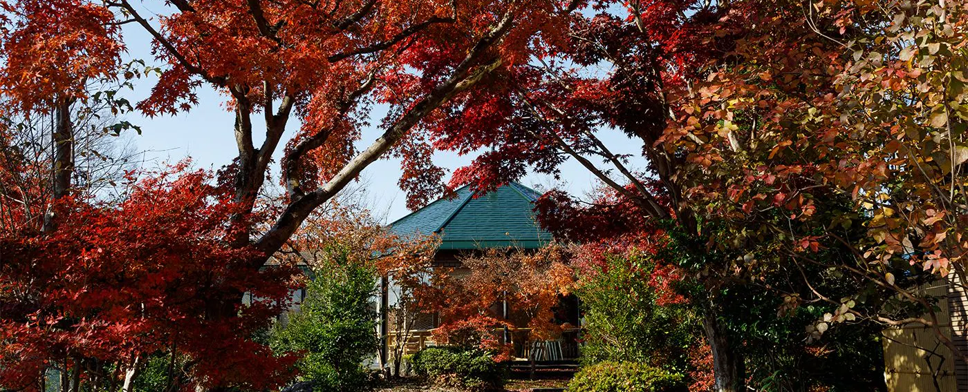 สวนญี่ปุ่น