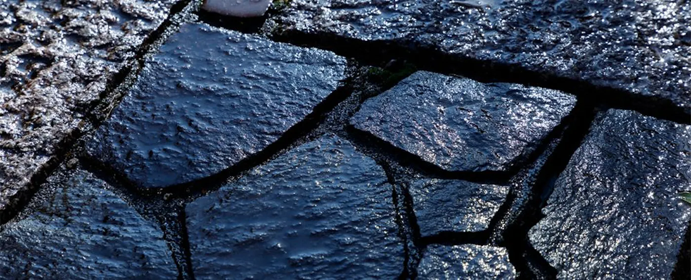 สวนญี่ปุ่น