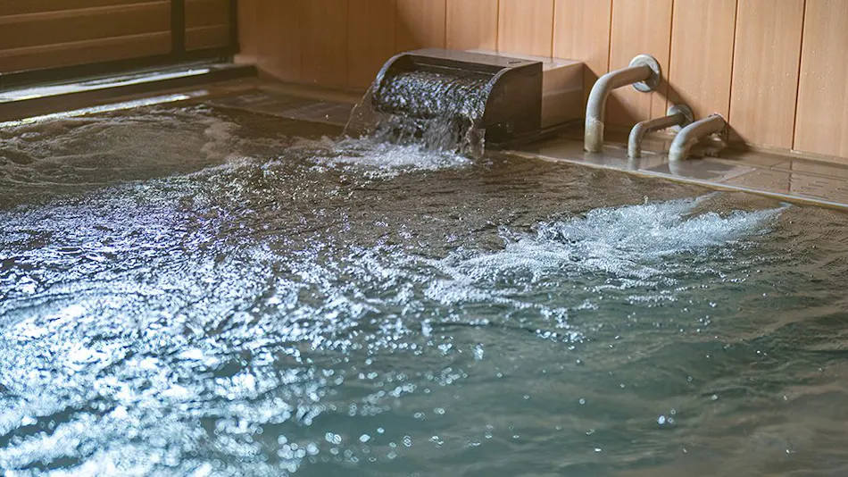 Shiawase Kakurezato Sarunage Onsen Iyashi no Yado Kinsen Kaku