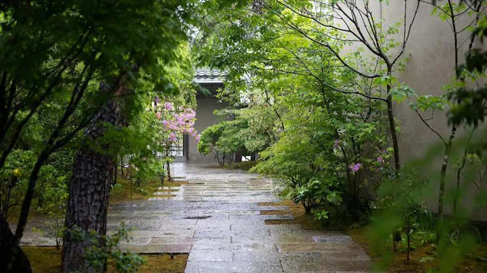 Auberge TOKITO
