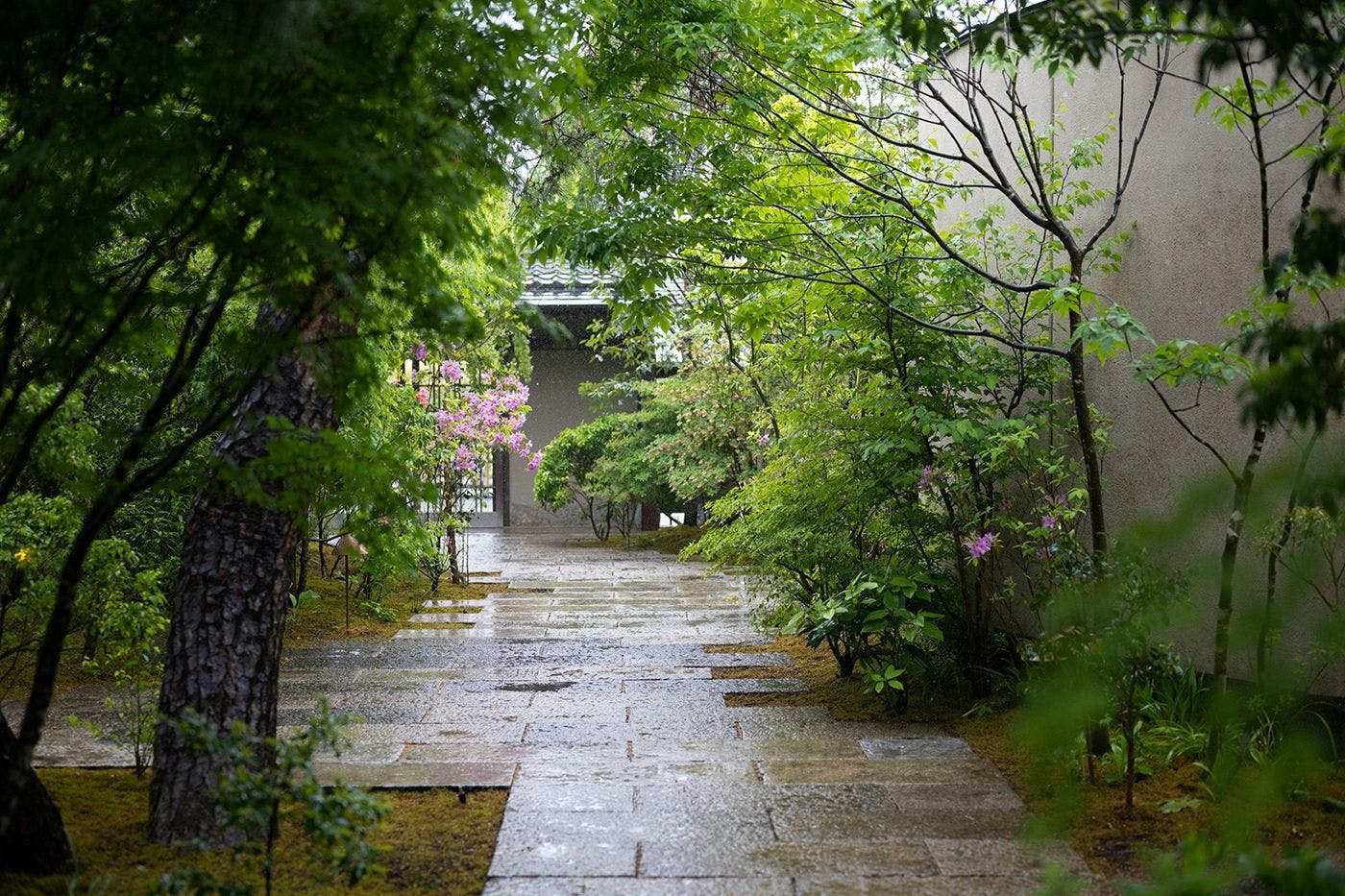Auberge TOKITO