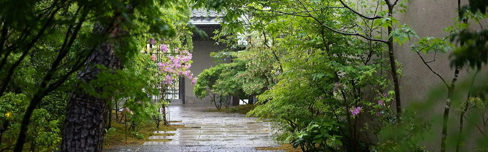 Auberge TOKITO