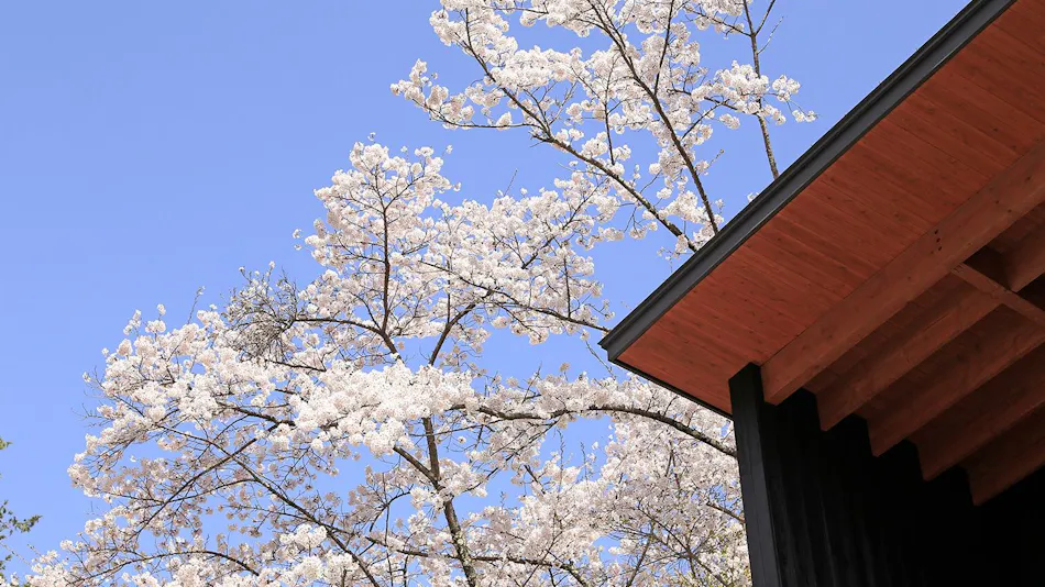 Hotarutei Villas