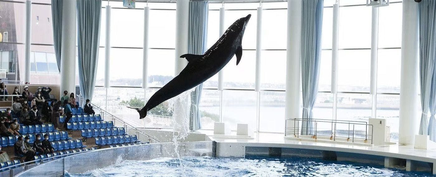 Aqua World Ibaraki Prefecture Oarai Aquarium