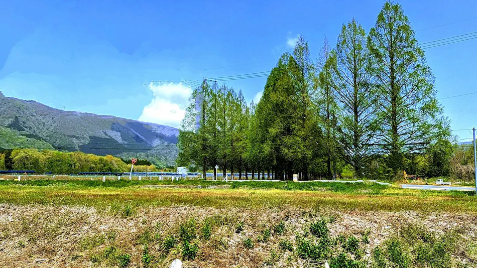 Auberge Haruyuu
