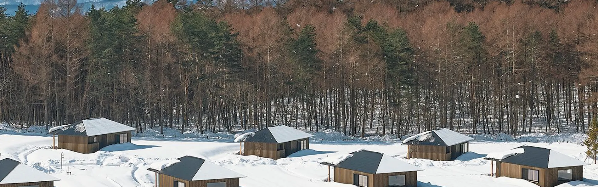 AZUMA FARM Koiwai