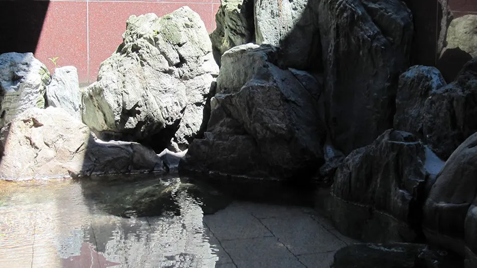 Awara Onsen Seiryukaku
