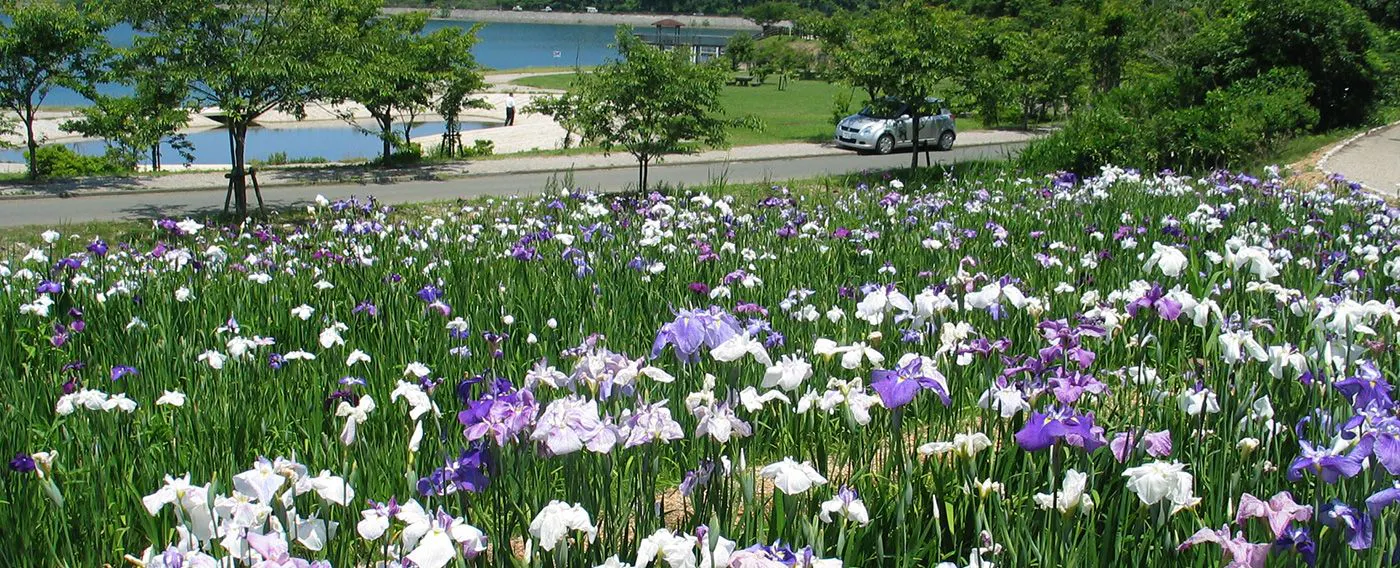 บ่อน้ำฮัตสึรัตสึ