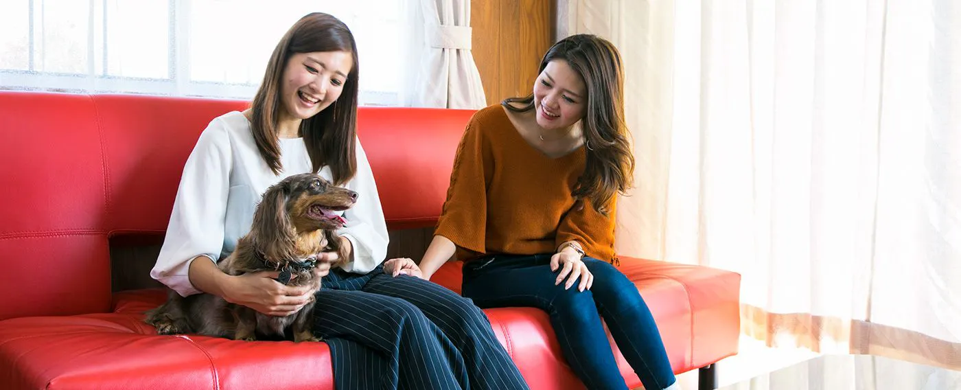 ภาพลักษณ์การเข้าพักในกระท่อม