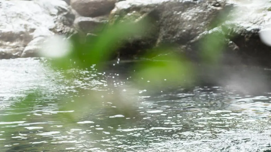 Awazu Onsen Kitahachi