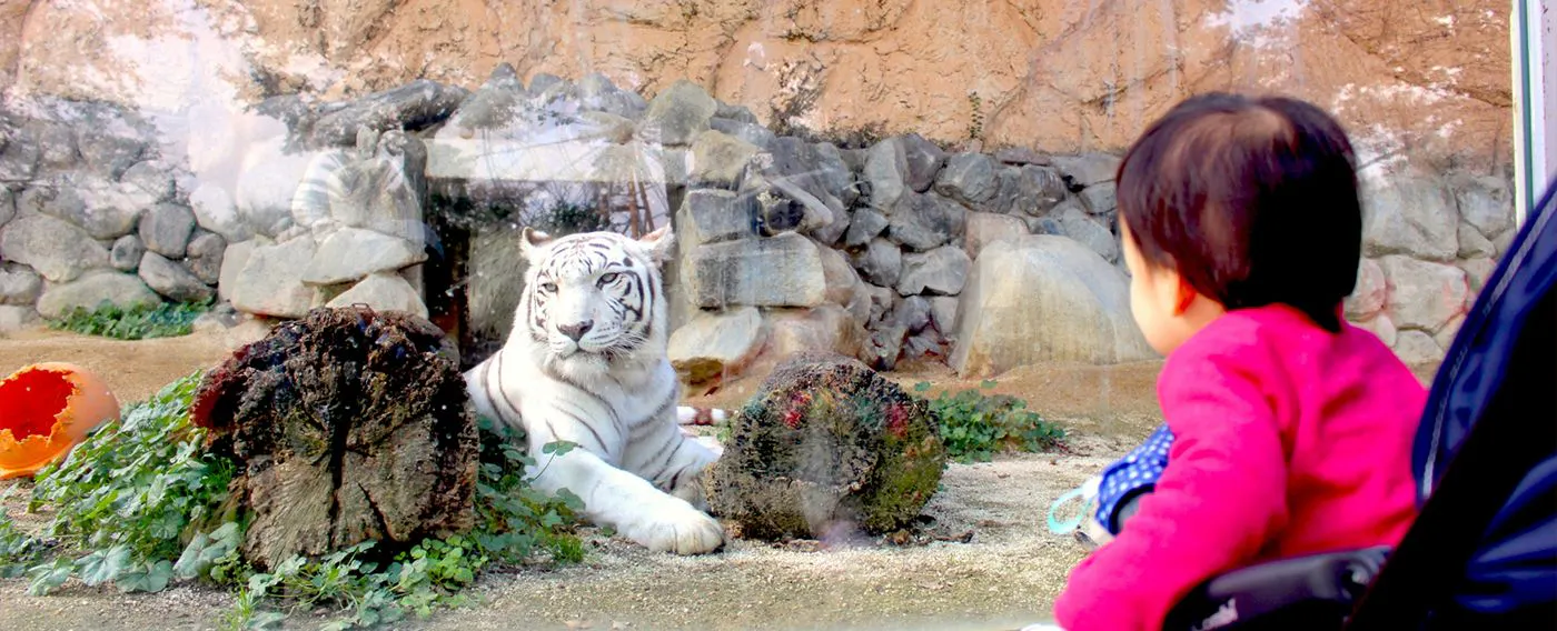 동물공원 이미지