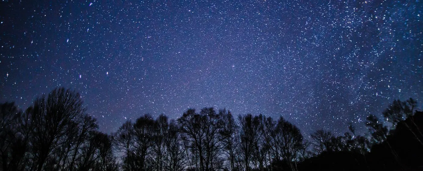 ท้องฟ้ายามค่ำคืน