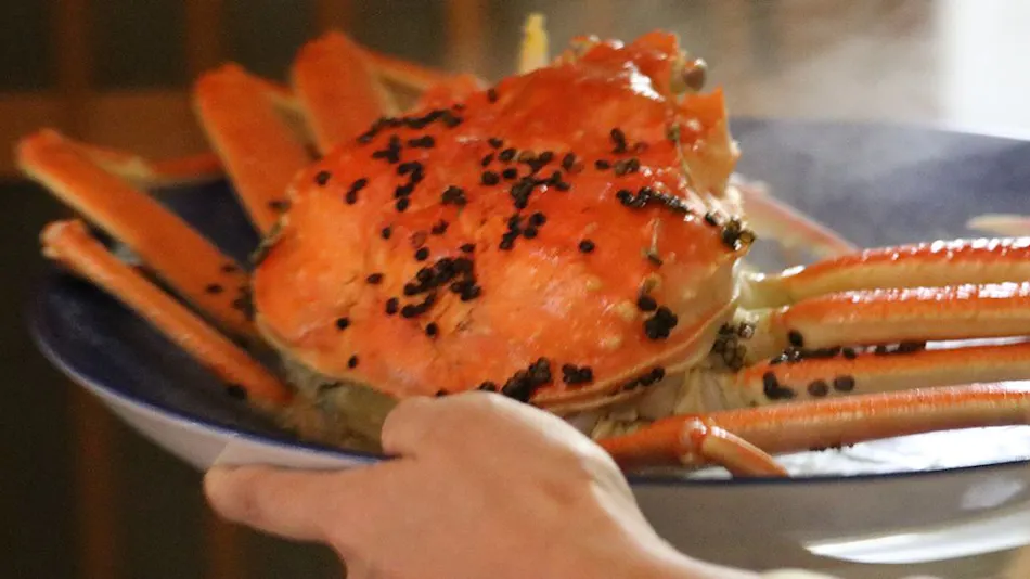 Hotel Kappo Ishimaru: The Inn of Echizen Crab and Natural Abalone