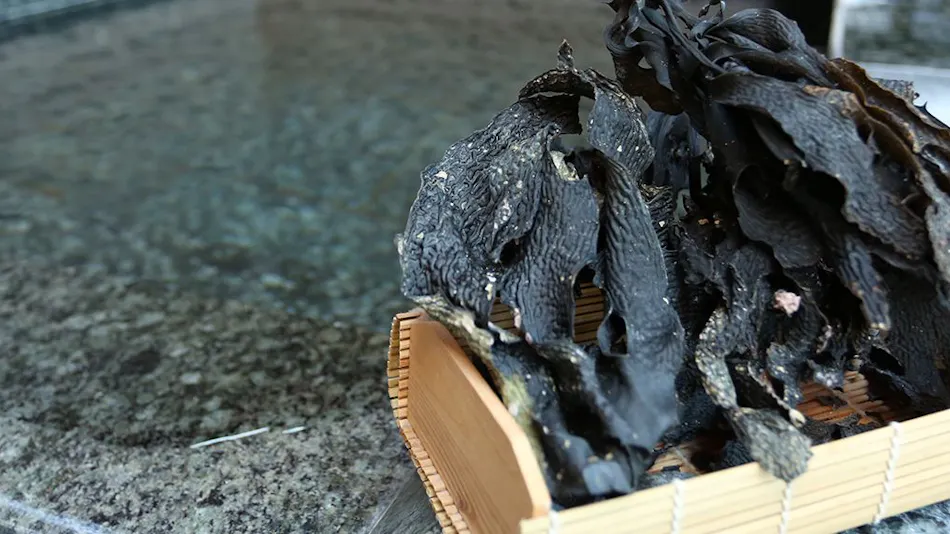 Hotel Kappo Ishimaru: The Inn of Echizen Crab and Natural Abalone
