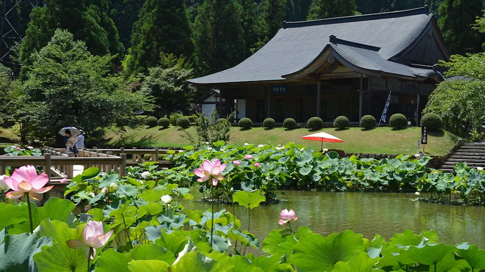 Hana Hasu Onsen Somayama