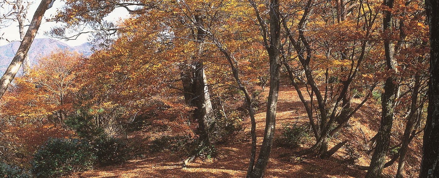 โซมะยามะ