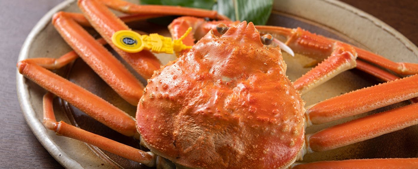 ปูเอจิเซ็น