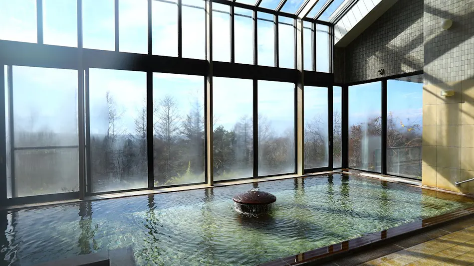 Irori no Yado Tateshina Park Hotel
