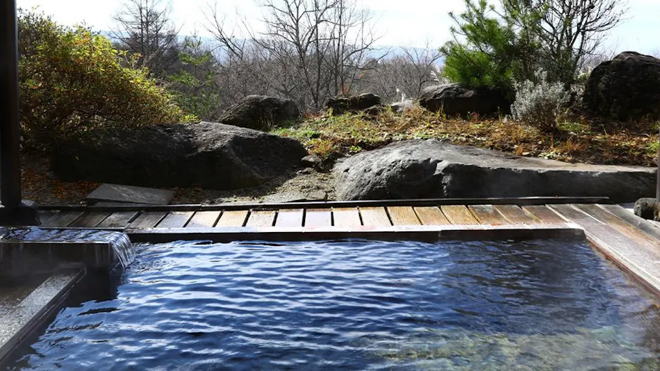 Irori no Yado Tateshina Park Hotel
