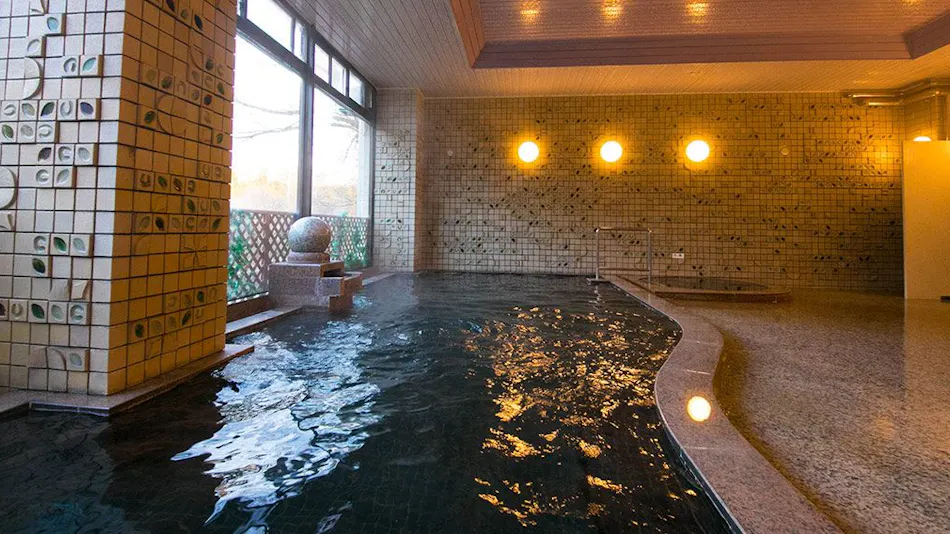 Sakakibara Onsen Ryokan Seishonagon