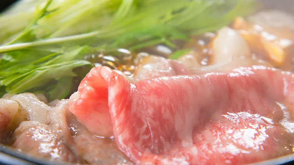 Sakakibara Onsen Ryokan Seishonagon