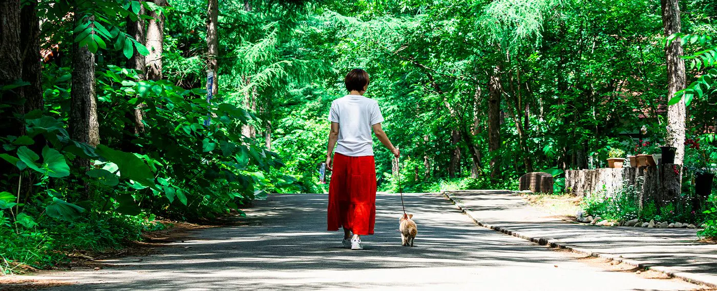 ภาพการเดินเล่นกับสัตว์เลี้ยง