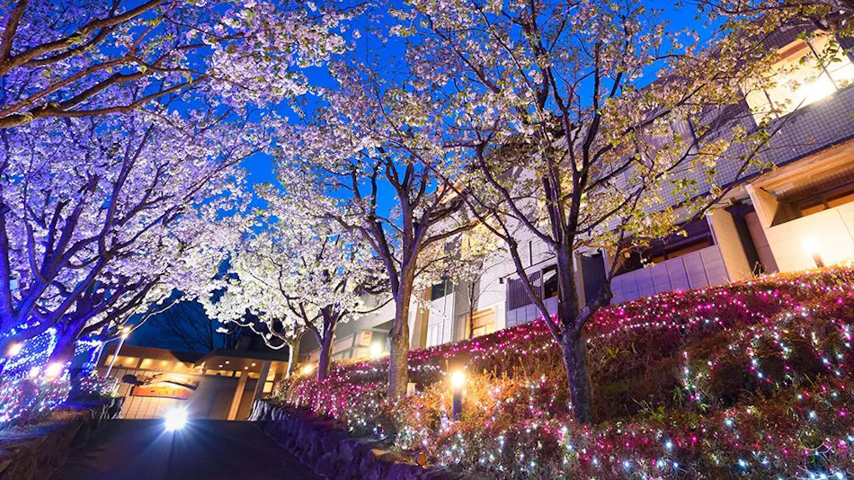 Zekkeino Yado Sakura-tei