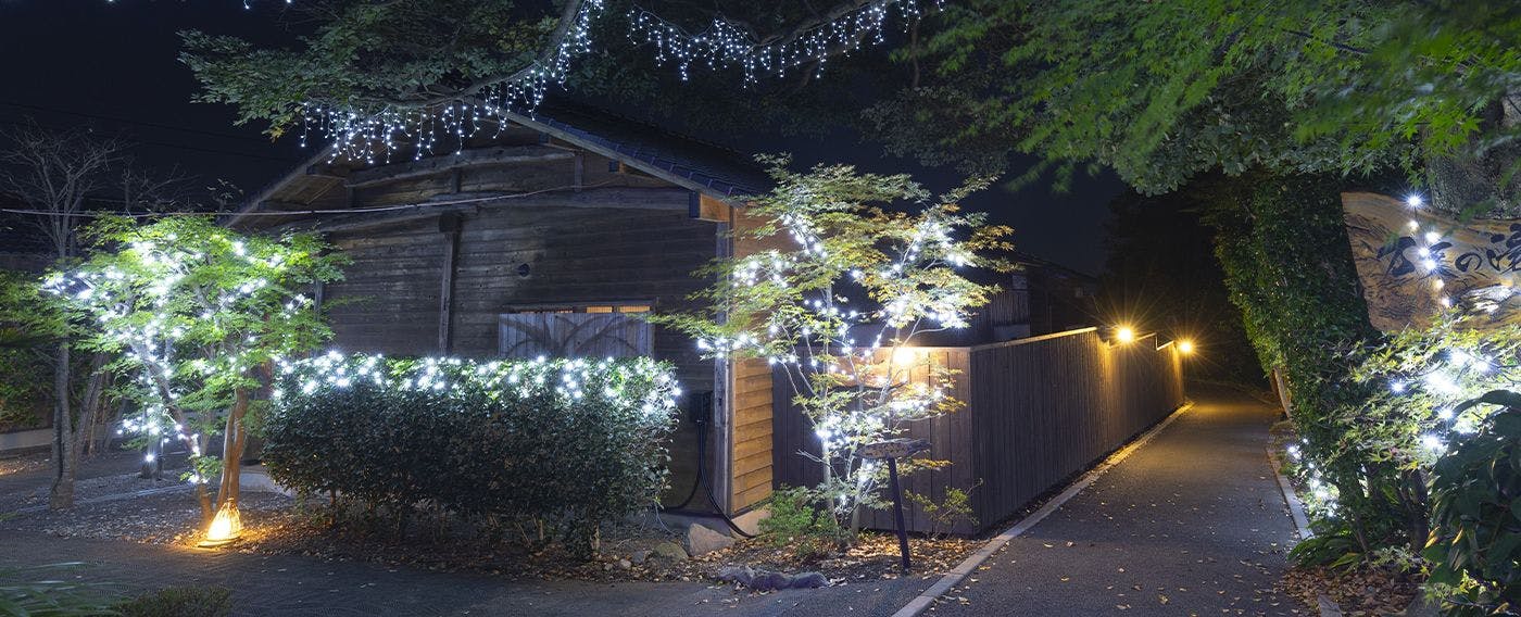 ไฟประดับ