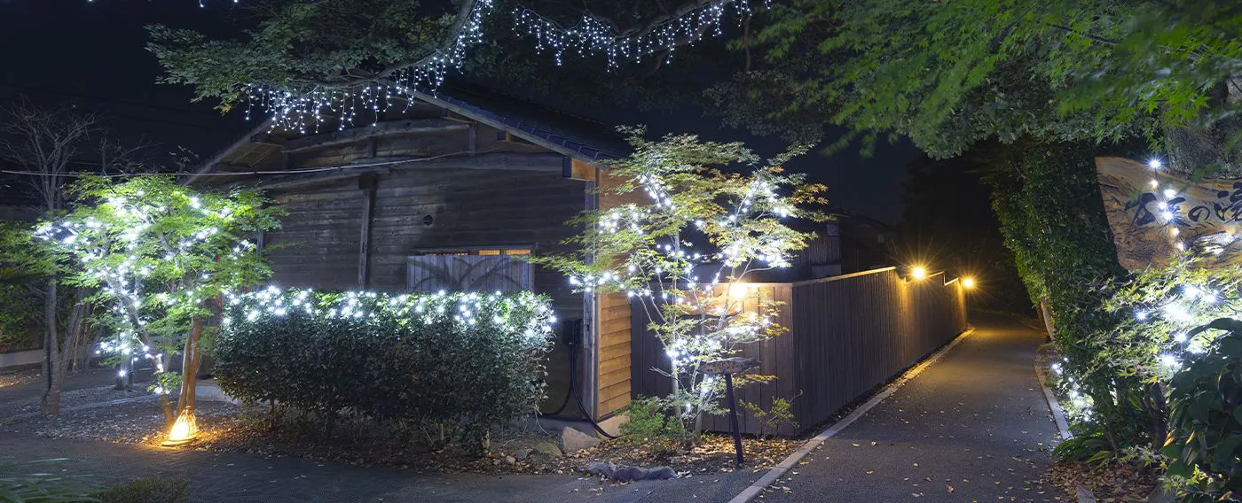 ไฟประดับ