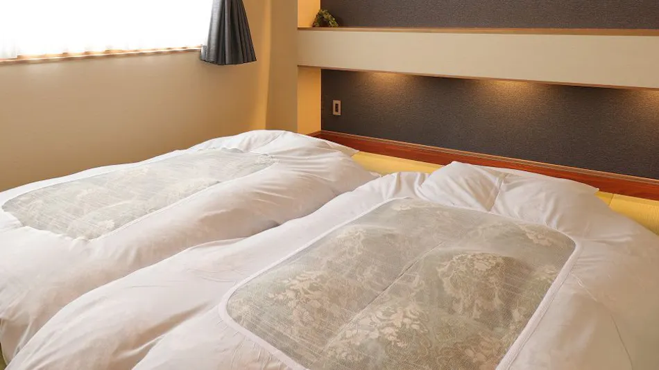 Hotel Oohashi Iida
