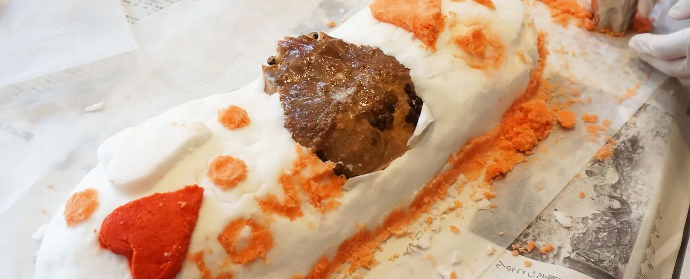 ปูคามาคุระ