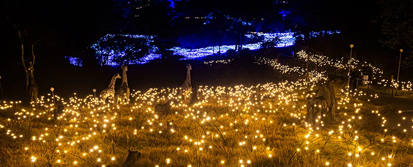 ซินเนสทีเซีย ฮิลส์