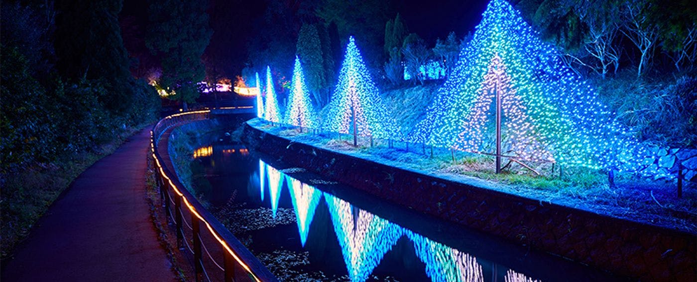 ซินเนสทีเซีย ฮิลส์